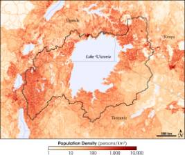 Map of population density around Lake Victoria